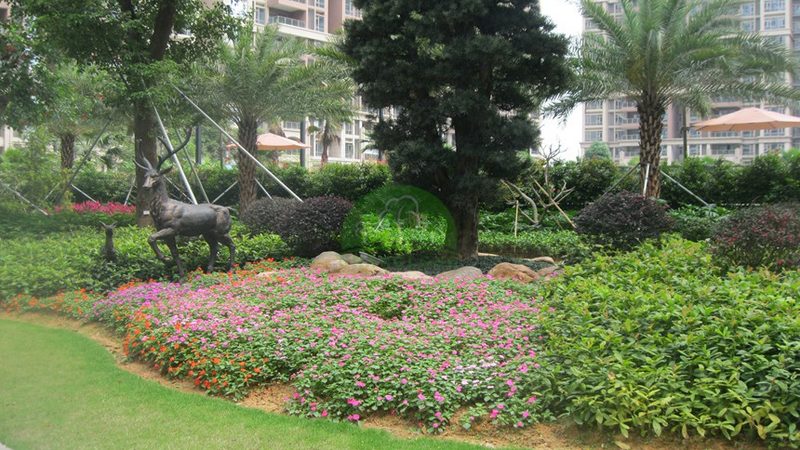 阳台立体绿化价格多少？揭秘阳台绿化成本构成