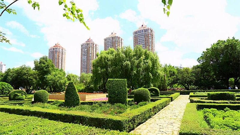 阳台垂直绿化植物搭配方案