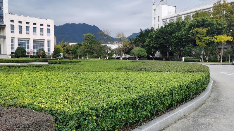 厂区景观给排水设计：关键要素与实施要点**
