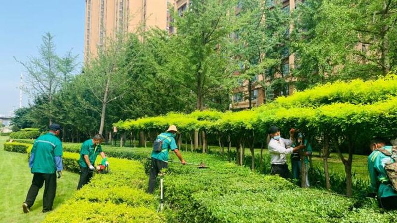 展会鲜花租摆与仿真花：一场视觉盛宴背后的选择艺术