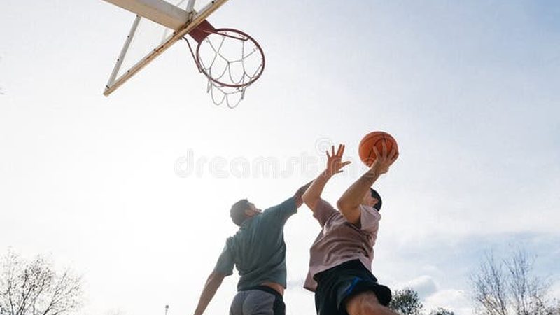 小区绿化设计优缺点分析：如何打造宜居生态空间