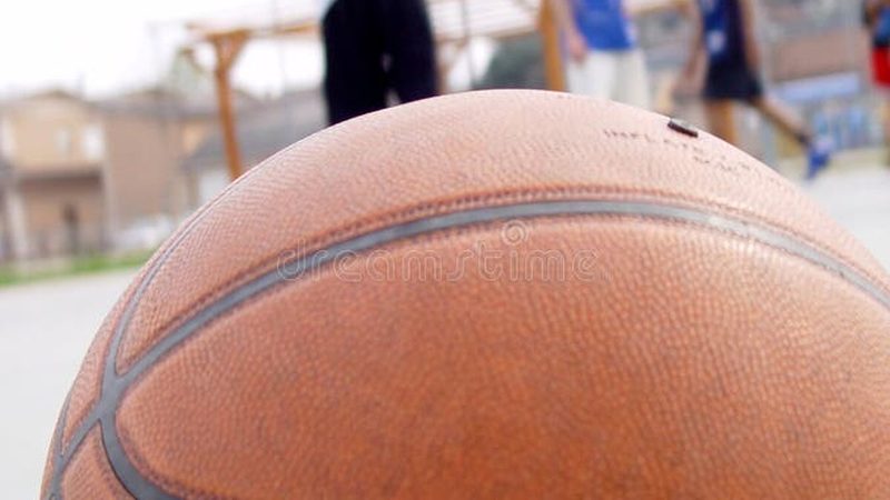 绿植租赁代理公司如何选择？揭秘行业标准与注意事项