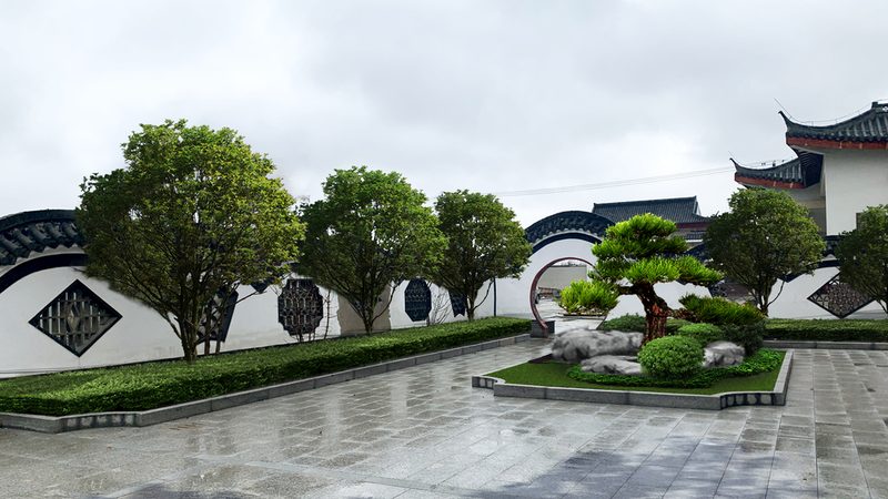 零基础也能掌握的苗木种植技术核心要点
