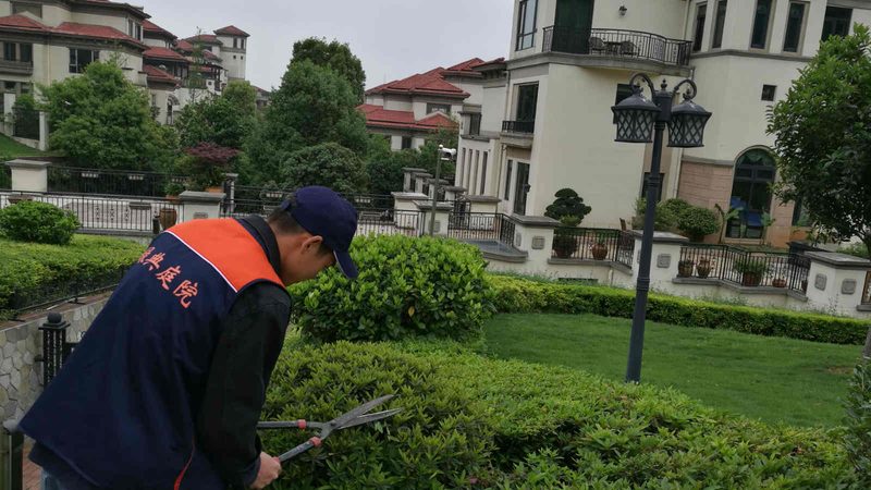 道路绿化自动喷灌系统：如何打造节水高效的绿色景观