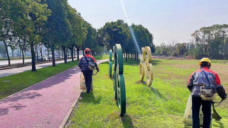 如何挑选优质的绿化养护服务？揭秘绿化养护的关键因素