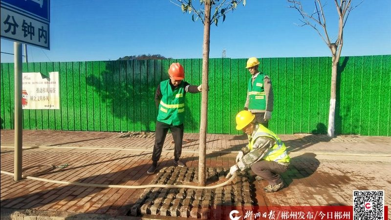 广州园林绿化验收规范：标准解读与实施要点**