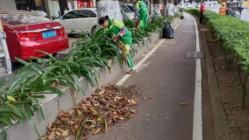 绿化工程人工费报价，到底贵在哪