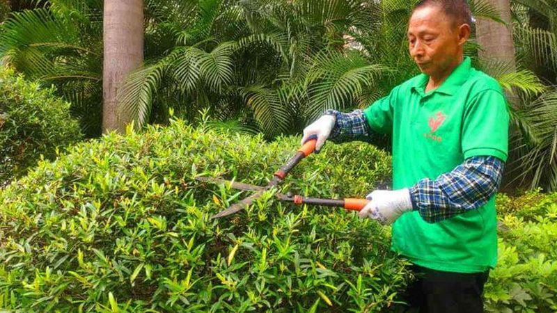 行业现状：绿化工程需求日益增长，专业公司竞争激烈