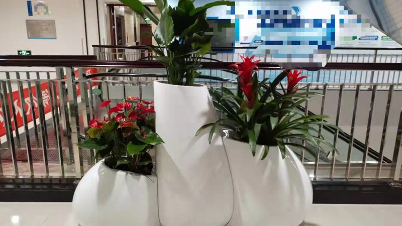 苗木种植报价单，这些注意事项你了解吗？**