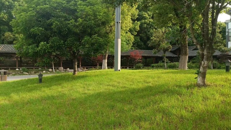 绿植租摆厂家直销批发